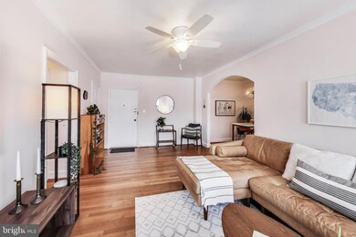 1365 Kennedy St NW unit 506, Washington, DC 20011 - photo 2