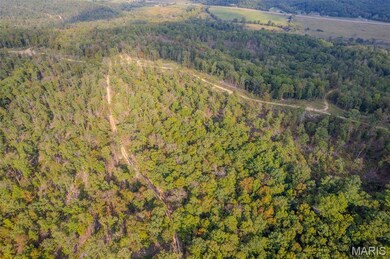 0 Madison Cr 410 (119d) unit 119D MIS25042570, Fredericktown, MO 63645 - photo 6