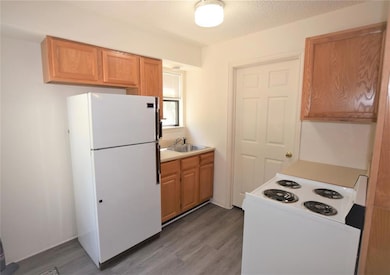 1414 E Lake Dr, Weatherford, TX 76087 - photo 4