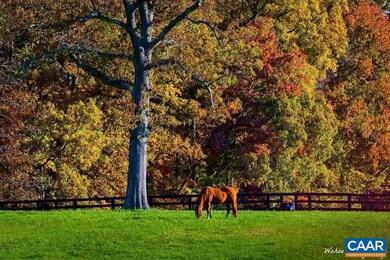 2 Carroll Creek Rd, Keswick, VA 22947 - photo 7