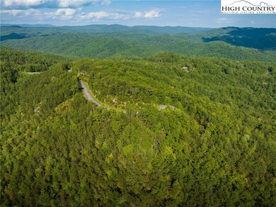 1318 Roundleaf Ln, Ferguson, NC 28624 - photo 5