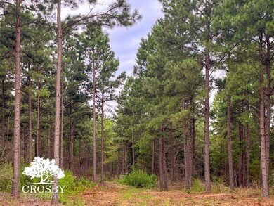 0 Jb Denton Rd, Heath Springs, SC 29058 - photo 4