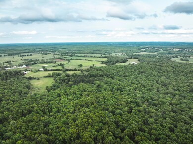 DJI_20240507164148_0206_D