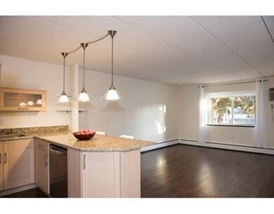 25 Homer Ave unit 15, Cambridge, MA 02138 - photo 3