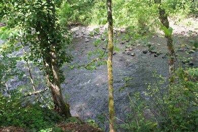 17765 S Abiqua Rd NE, Silverton, OR 97381 - photo 6