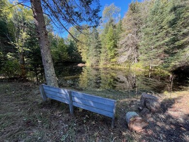 0 Fire Lane Rd, Evergreen, WI 54491 - photo 4