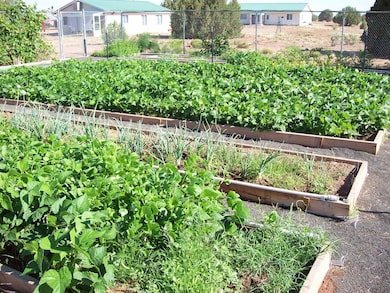 Garden7 2012