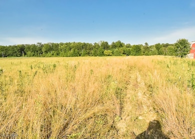 V/L Windsor-Mechanicsville Rd, Orwell, OH 44076 - photo 2