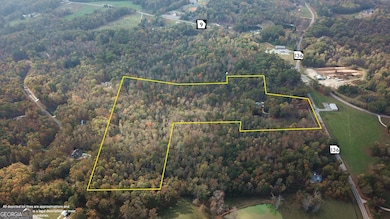 106 Highway 136 E, Dawsonville, GA 30534 - photo 2
