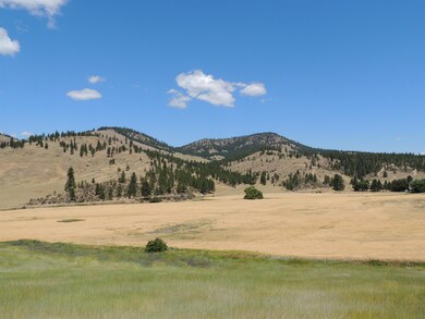 XXX Egypt Loop Rd unit Sunset Mountain Ridg, Davenport, WA 99122 - photo 6