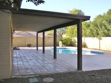 ENORMOUS COVERED PATIO