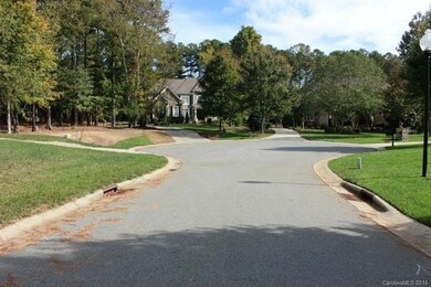 Lot #351 Crepe Ridge Dr unit 351, Denver, NC 28037 - photo 3