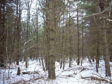 Land Woods