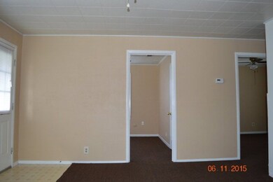 216 3rd St, Brazoria, TX 77422 - photo 4