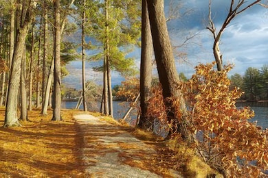 9 Bartemus Trail unit U303, Nashua, NH 03063 - photo 4