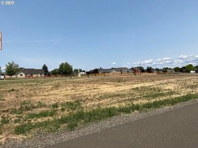 10703 Greg Ln, Islandcity, OR 97850 - photo 5