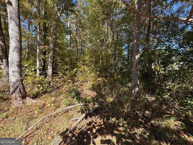 0 Gardenia Rd unit 10648054, Sparta, GA 31087 - photo 2