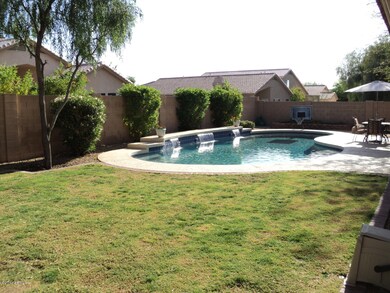 Grassy Back Yard