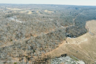 438 Ridenours Way, Falls of Rough, KY 40119 - photo 5