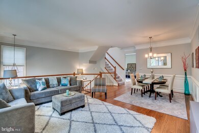 4637 Kemp Ct, Alexandria, VA 22311 - photo 5