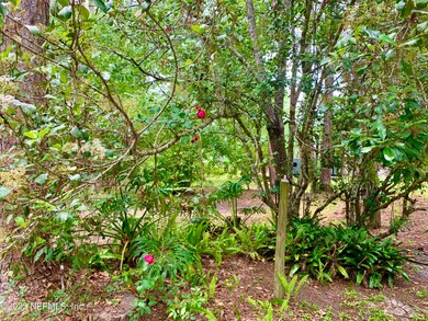 Front Yard View 2