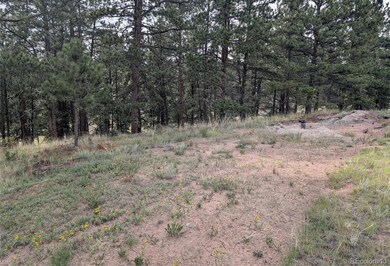 1379 S Mountain Estates Rd, Florissant, CO 80816 - photo 4