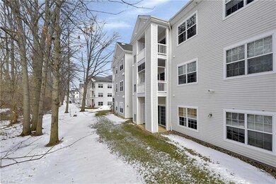 1017 Aqua Marine Blvd, Avon Lake, OH 44012 - photo 6