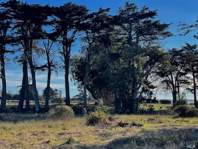 43725 Cypress Pkwy unit 3, Manchester, CA 95459 - photo 4