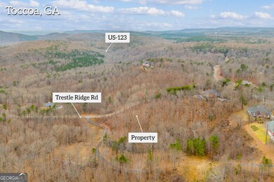 0 Trestle Ridge Rd unit 10654142, Toccoa, GA 30577 - photo 6