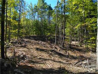 0 Spear Rd, Standish, ME 04084 - photo 4