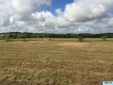 Hwy 317 Bell County Rural, Moody, TX 76557 - photo 7