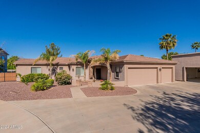 4-web-or-mls-Hackamore-4