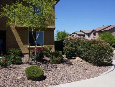 FRONT LANDSCAPINE 2