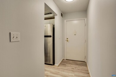 127 Turtle Creek Rd unit 3, Charlottesville, VA 22901 - photo 2