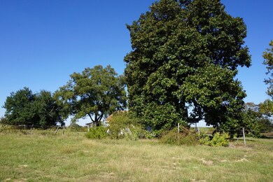 View of yard featuring a view of rural / pastoral area