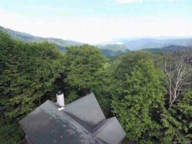 A Drones view