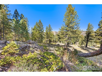 323 Roxbury Dr, Boulder, CO 80302 - photo 4