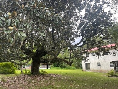 150 Azalea Dr, Crawfordville, FL 32327 - photo 3