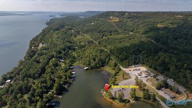 67 Keene Point Dr, Grant, AL 35747 - photo 5