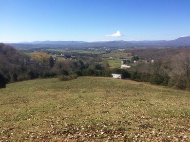 0 Mountain View Rd, Lexington, VA 24450 - photo 2