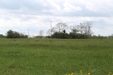 0 Hauck Rd unit 20539116, Hempstead, TX 77445 - photo 4