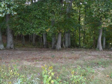 Old Cave Springs Road Lot 1 top