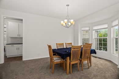 282 Crabapple St, Bolingbrook, IL 60490 - photo 6