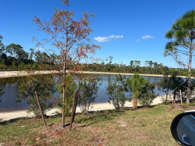 27730 Bonita Grande Dr, Bonita Springs, FL 34135 - photo 5