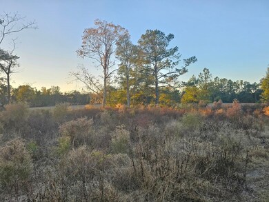 241 NW Darwin Loop, Madison, FL 32340 - photo 3