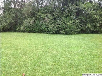 Large Yard