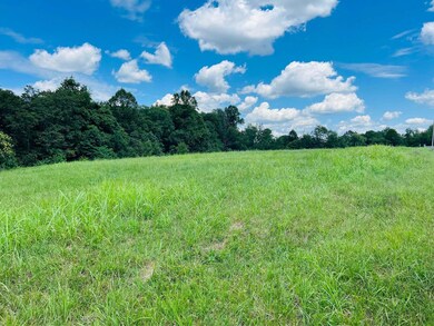 143 Dockery Rd, Russell Springs, KY 42642 - photo 7