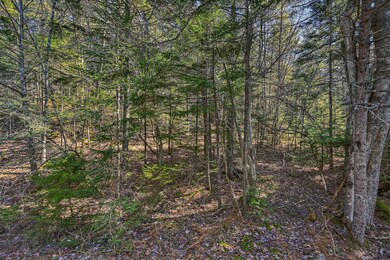 Lot for Sale