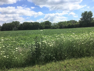 Lot 1 Koppie Rd, Gilberts, IL 60136 - photo 2