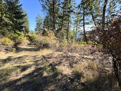 34500-35698 N Terrace Dr, Bayview, ID 83803 - photo 3